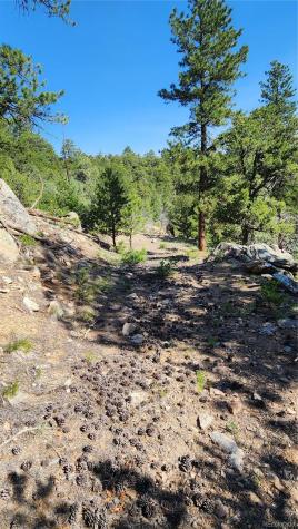 134 Knight Lane Cotopaxi CO 81223
