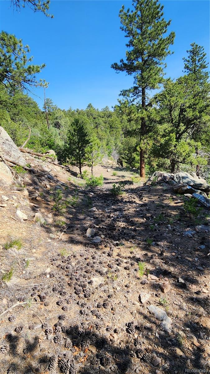 134 Knight Lane Cotopaxi CO 81223