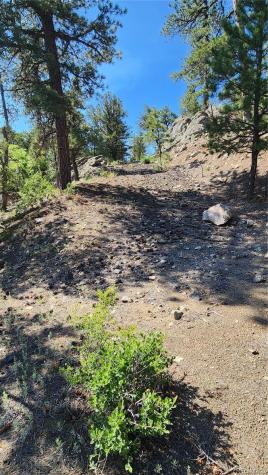 134 Knight Lane Cotopaxi CO 81223