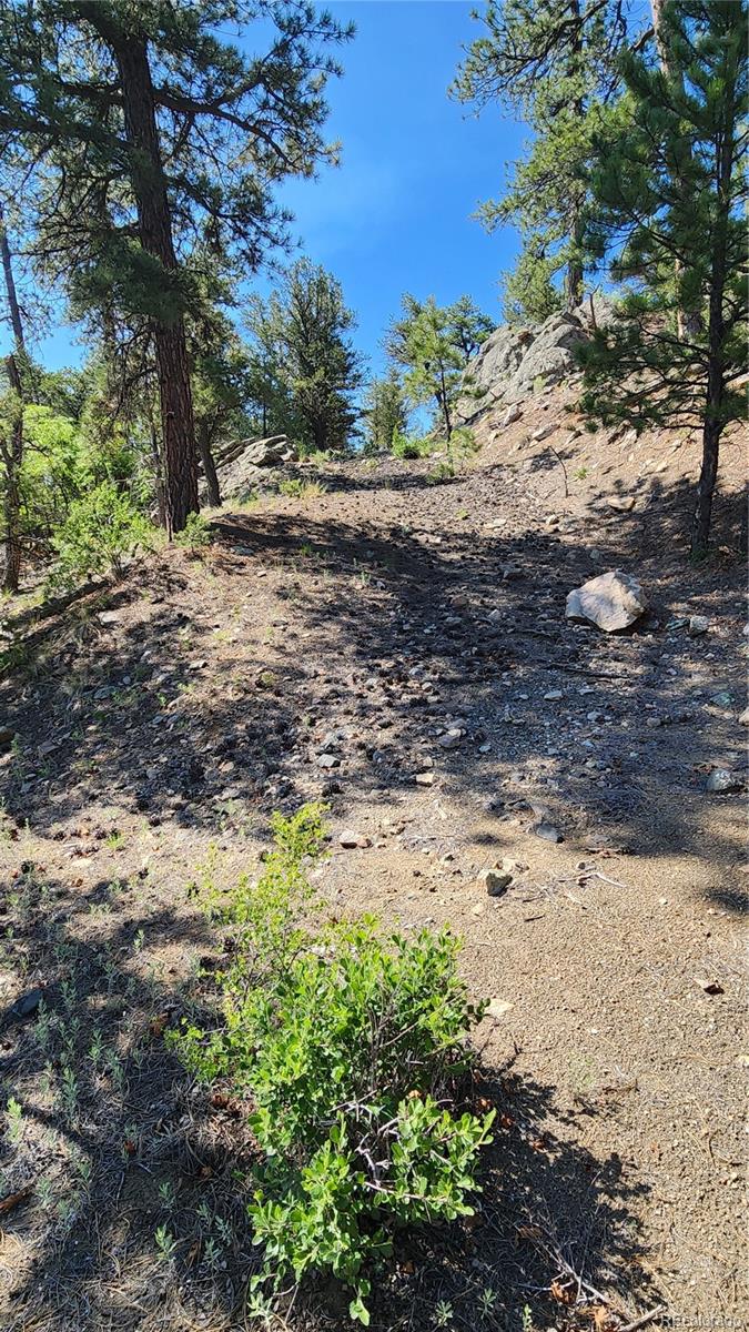 134 Knight Lane Cotopaxi CO 81223