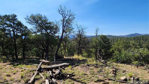 134 Knight Lane Cotopaxi CO 81223