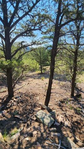 134 Knight Lane Cotopaxi CO 81223