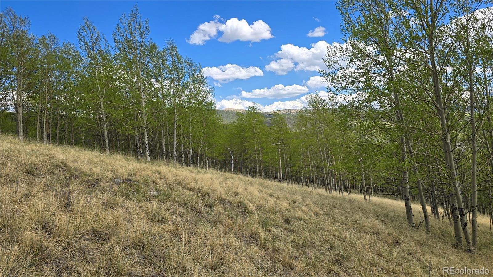 64121 Ryland Road Fort Garland CO 81133