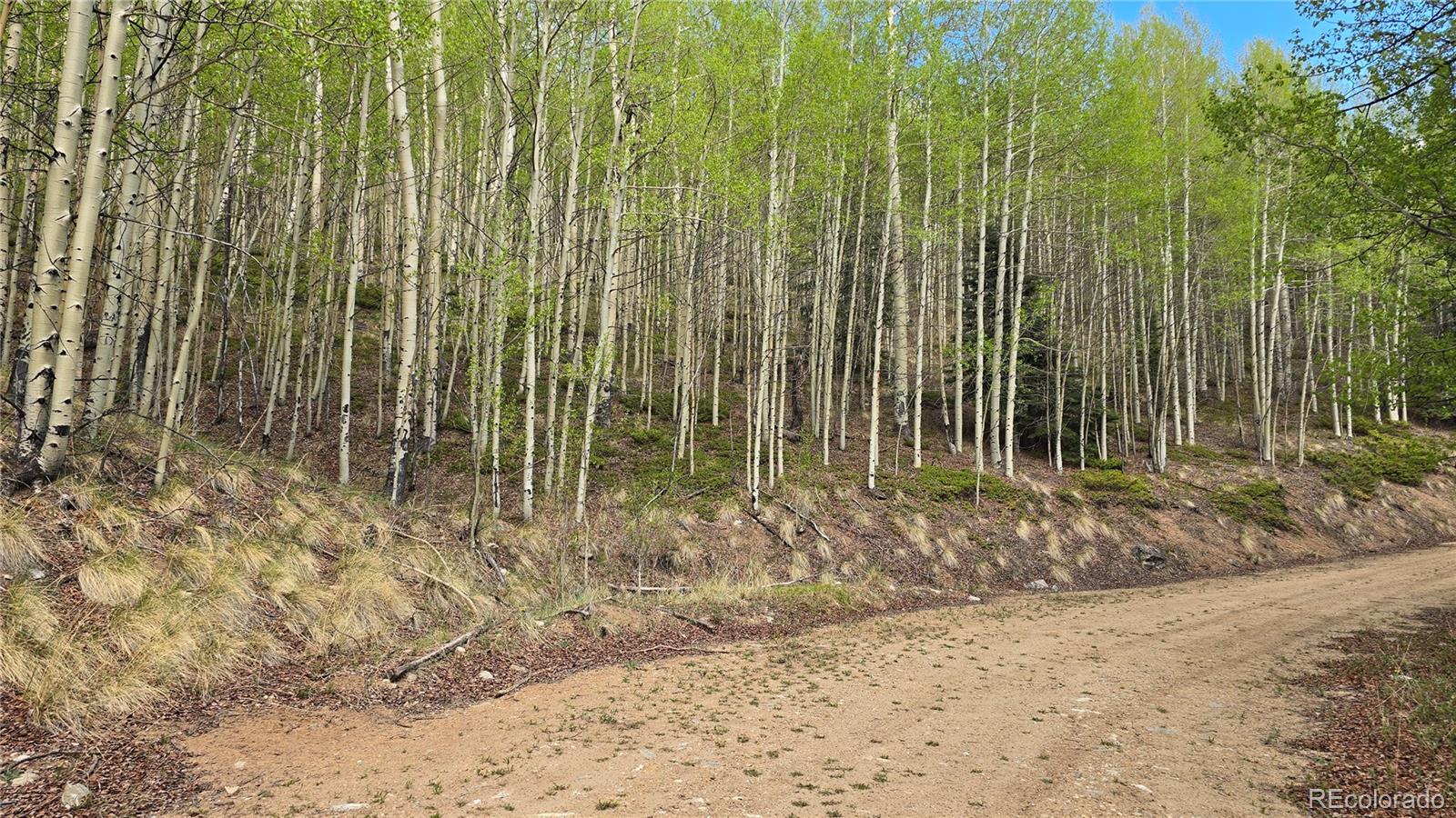 64121 Ryland Road Fort Garland CO 81133
