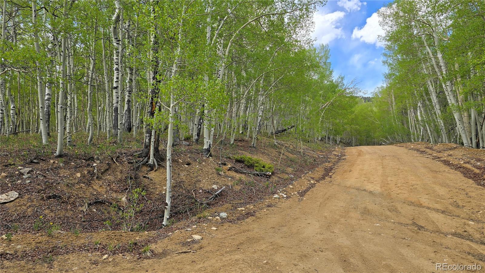 64121 Ryland Road Fort Garland CO 81133