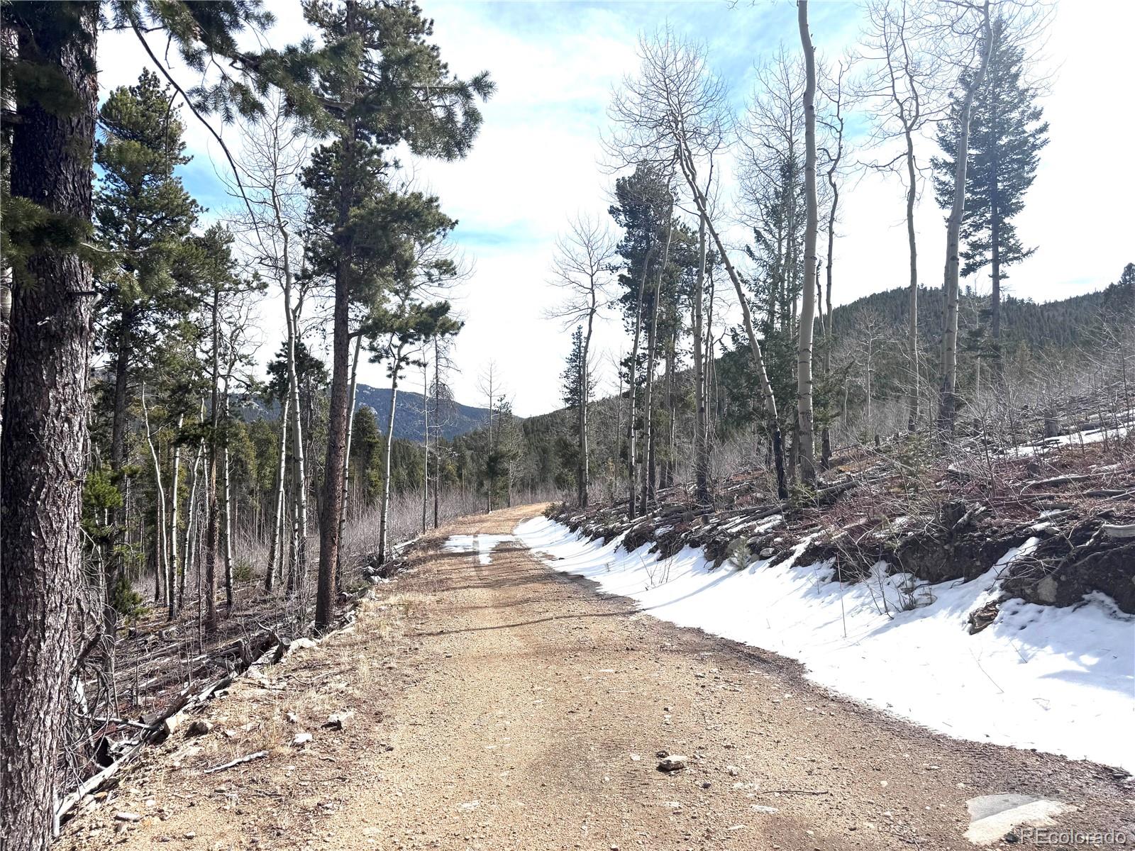001 Seldom Seen Road Golden CO 80403