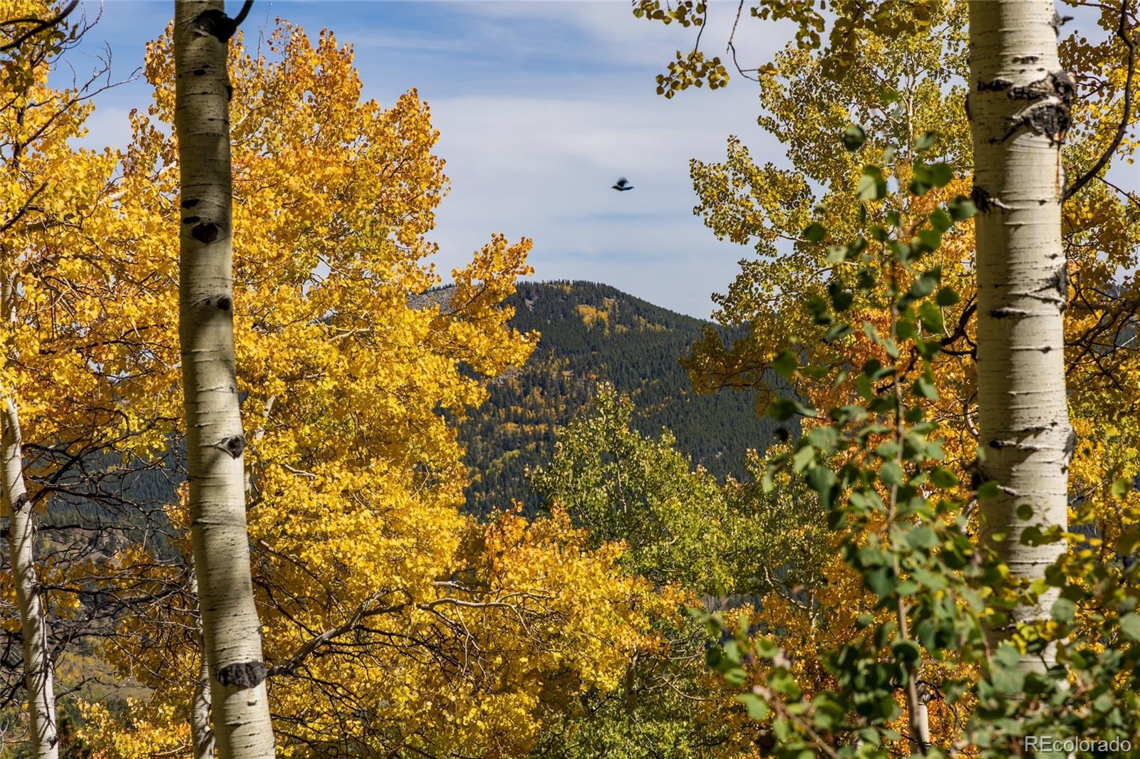 001 Seldom Seen Road Golden CO 80403