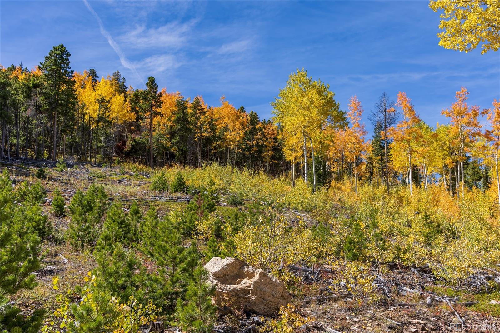 001 Seldom Seen Road Golden CO 80403