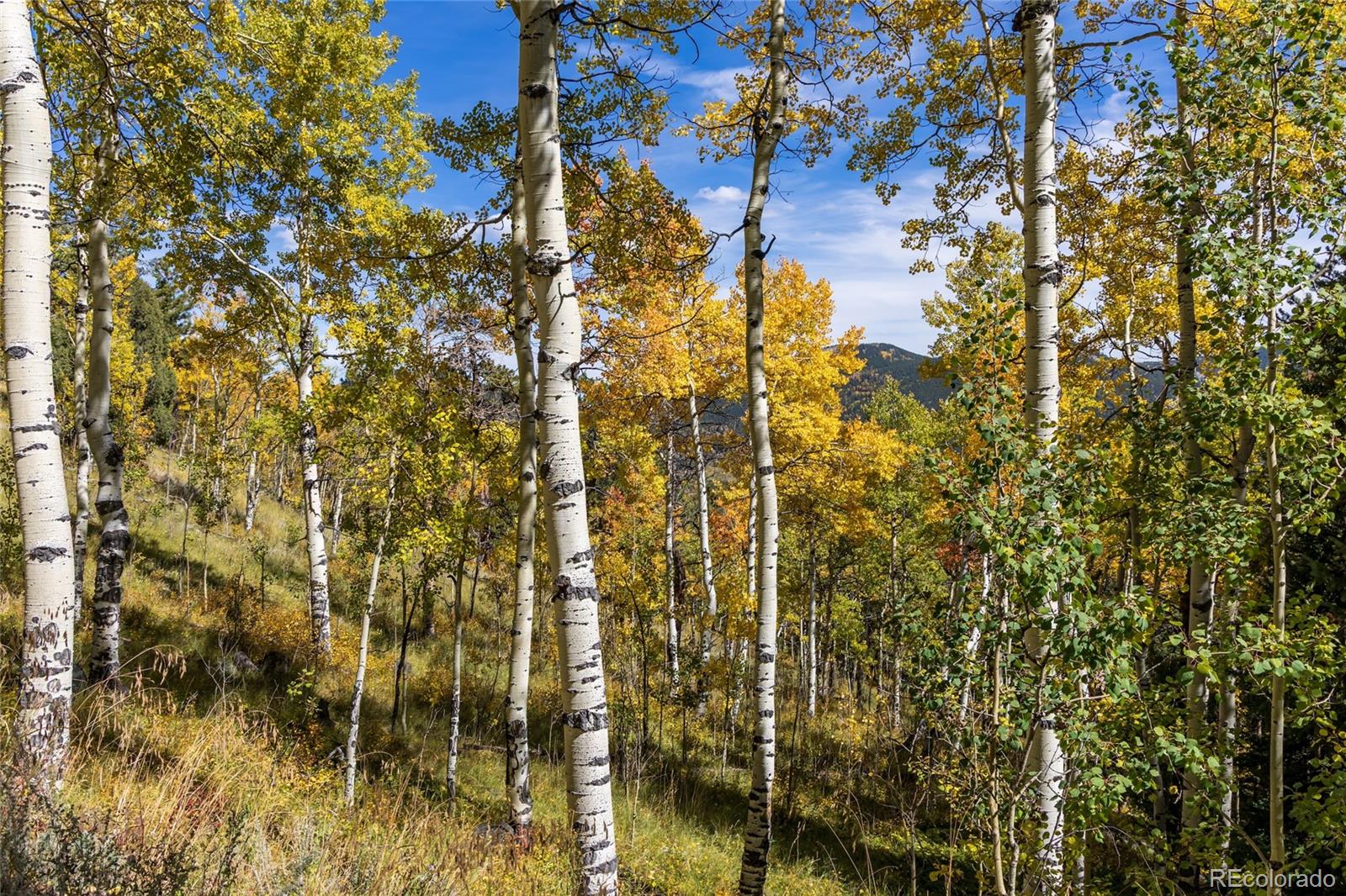 001 Seldom Seen Road Golden CO 80403