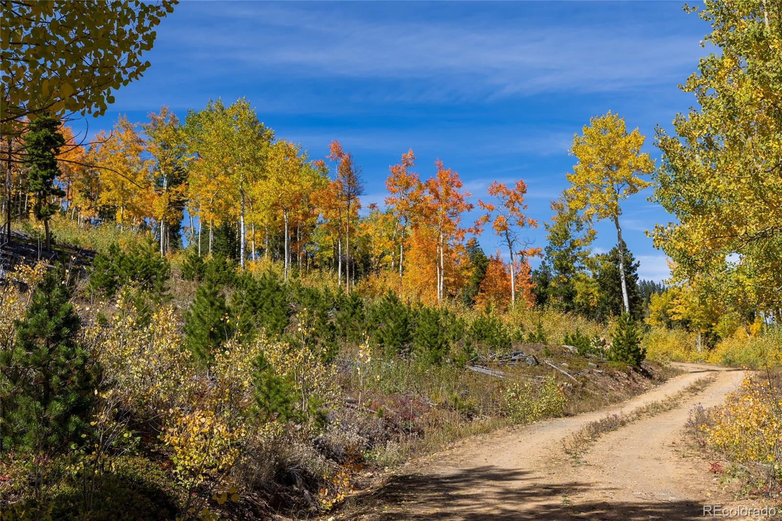001 Seldom Seen Road Golden CO 80403