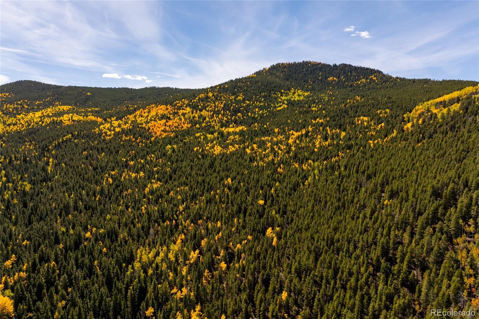 001 Seldom Seen Road Golden CO 80403
