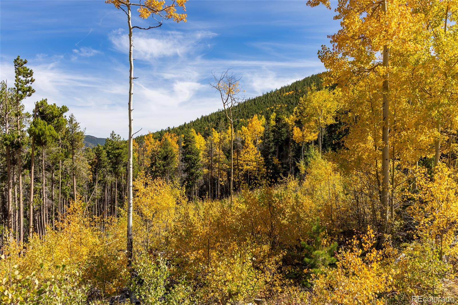 001 Seldom Seen Road Golden CO 80403