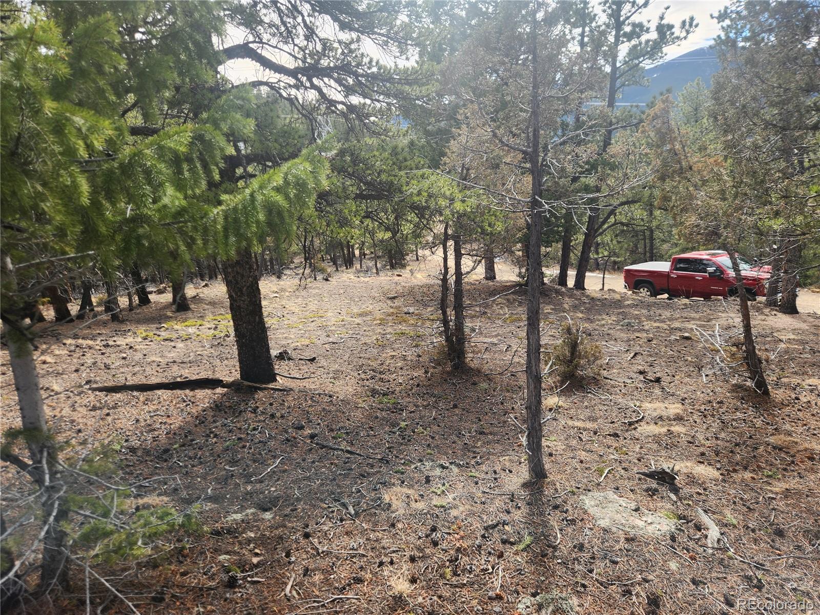 Vacant Land On Fools Gold Road Idaho Springs CO 80452