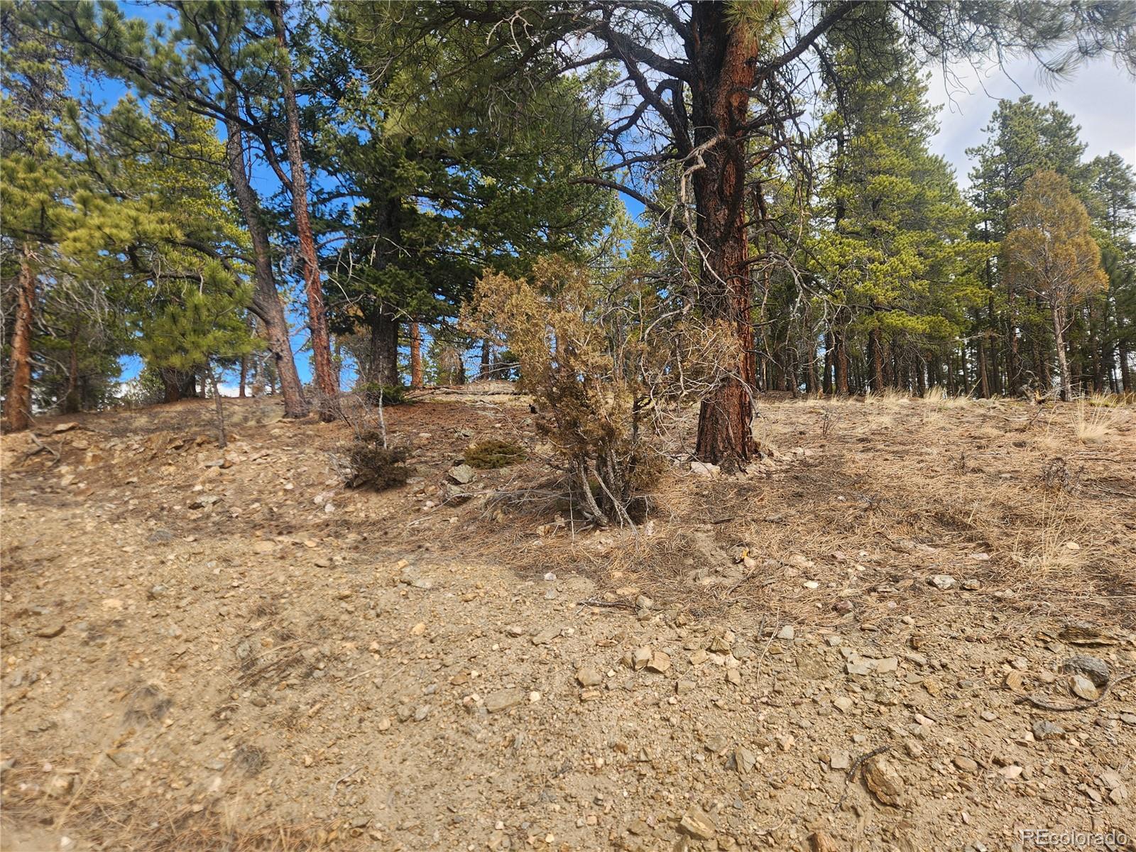Vacant Land On Fools Gold Road Idaho Springs CO 80452