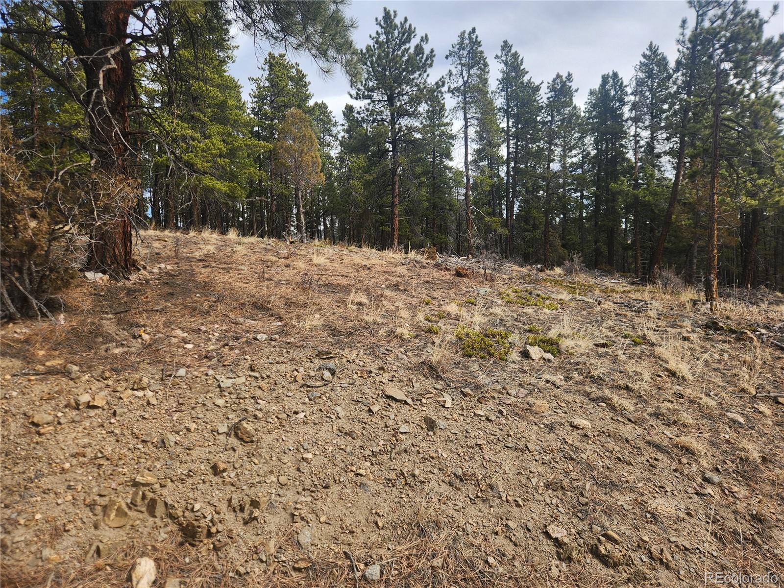 Vacant Land On Fools Gold Road Idaho Springs CO 80452
