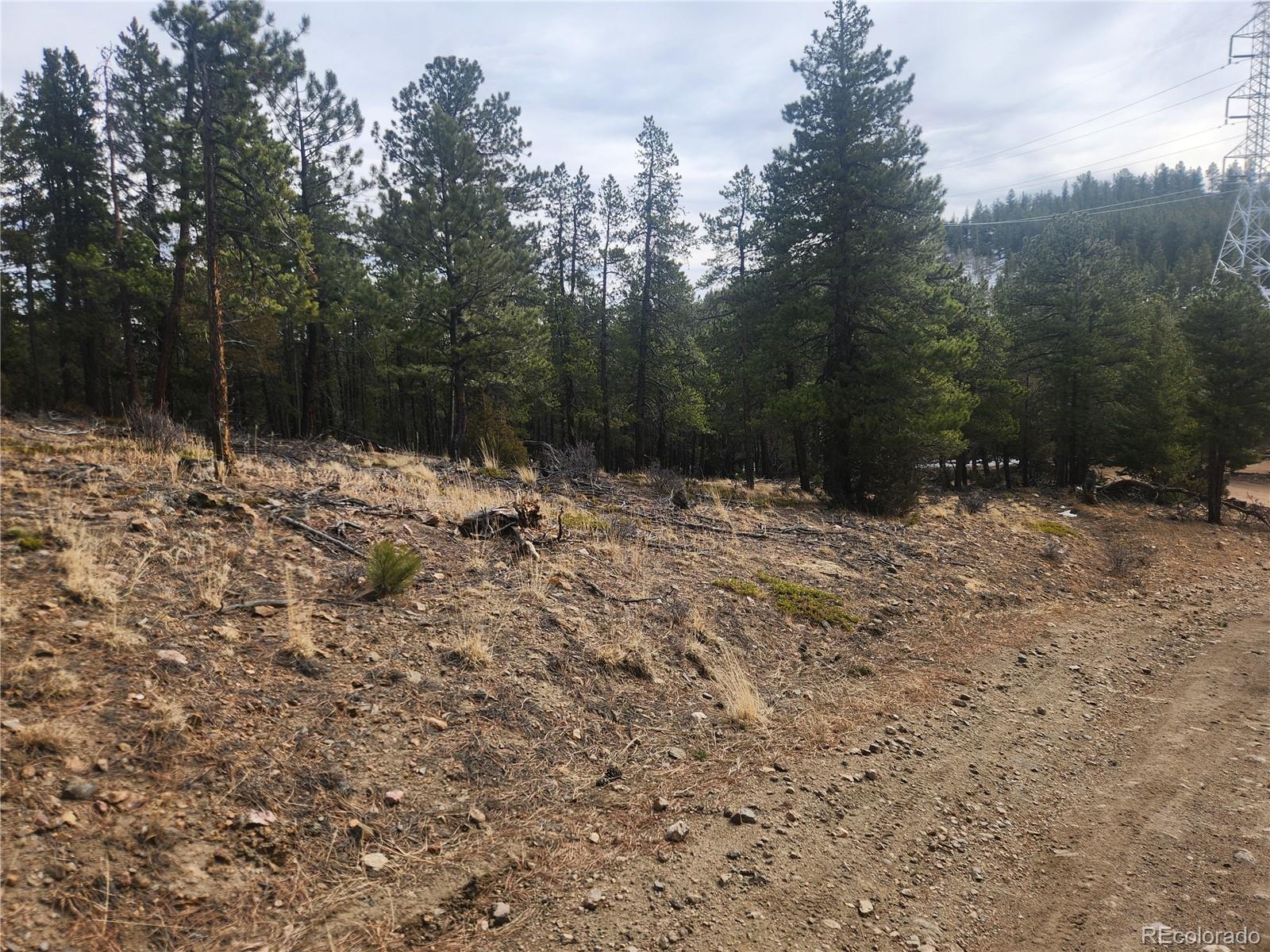 Vacant Land On Fools Gold Road Idaho Springs CO 80452