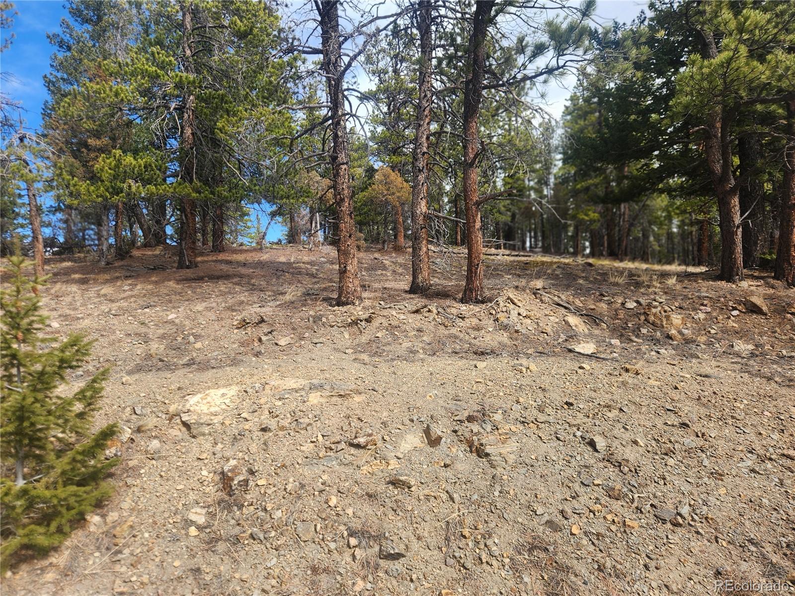 Vacant Land On Fools Gold Road Idaho Springs CO 80452