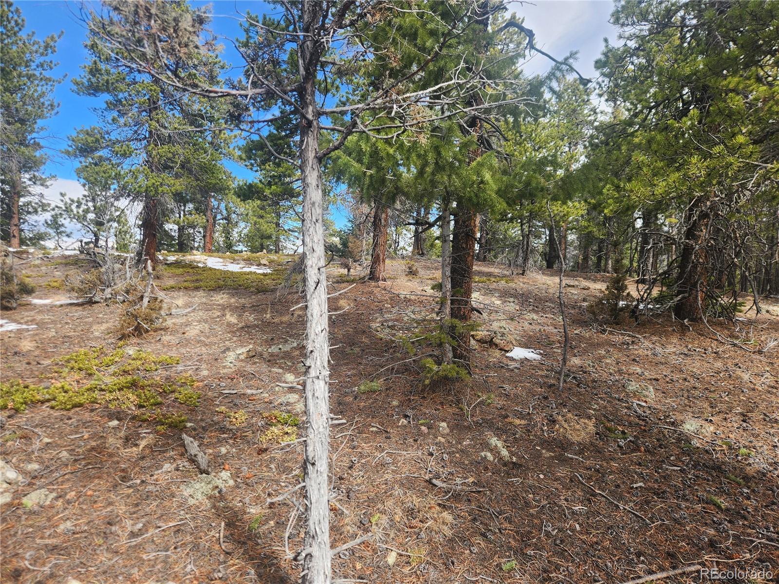 Vacant Land On Fools Gold Road Idaho Springs CO 80452