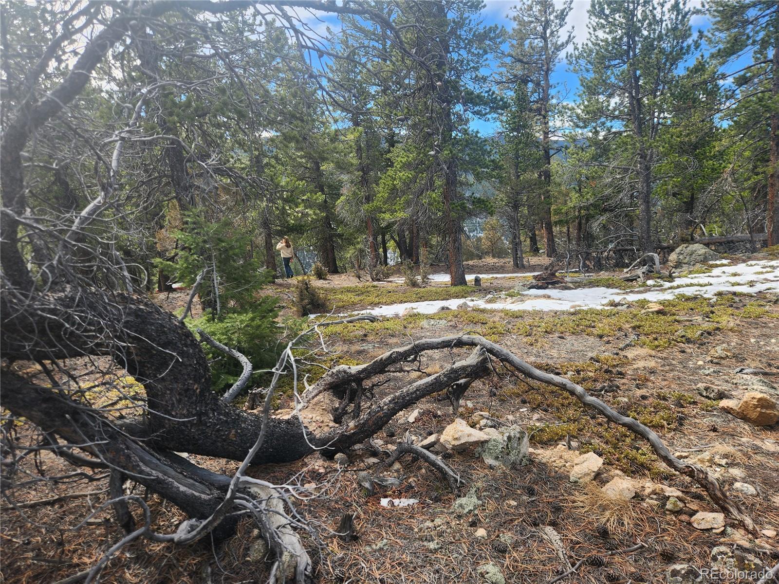 Vacant Land On Fools Gold Road Idaho Springs CO 80452