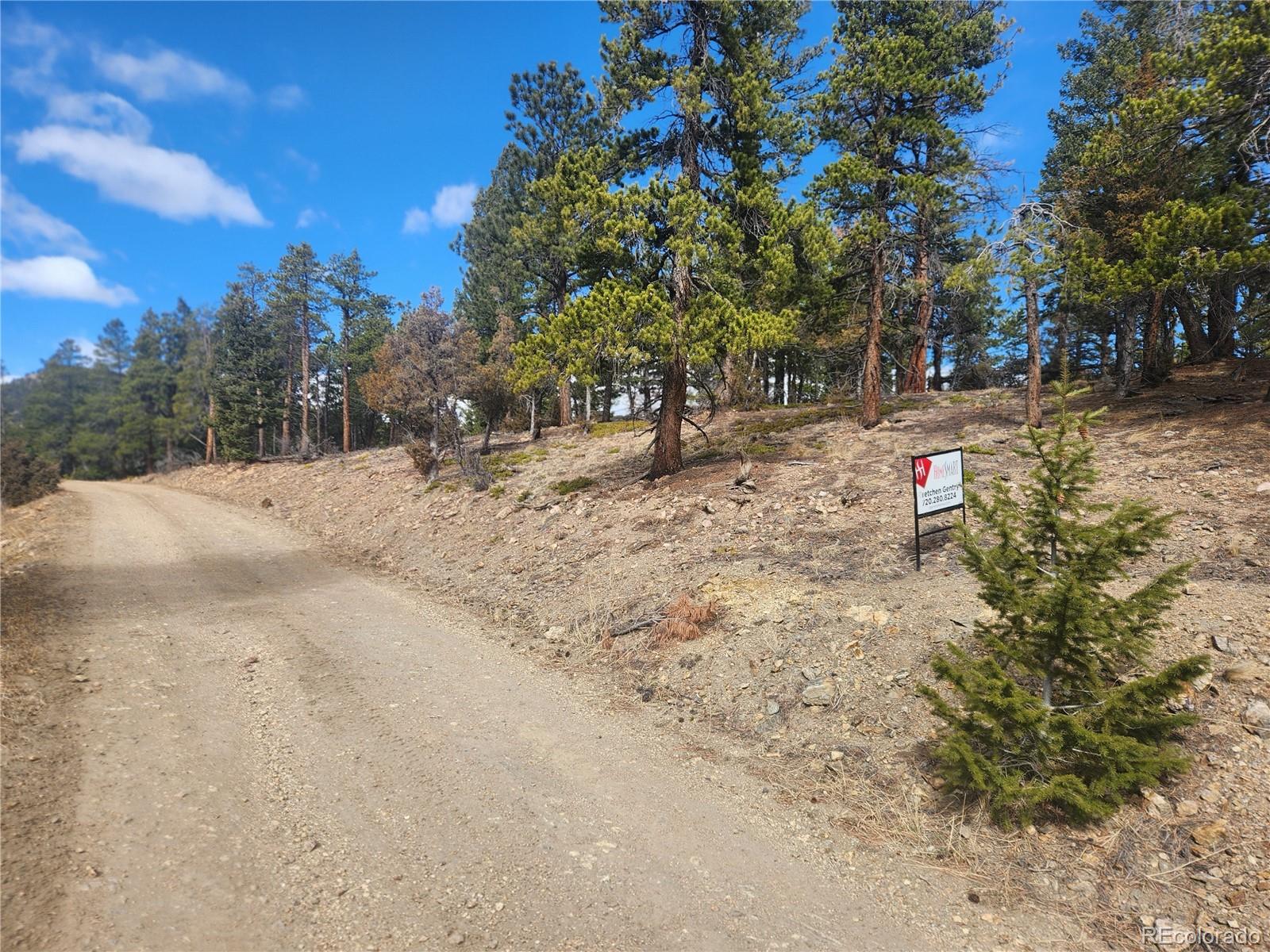 Vacant Land On Fools Gold Road Idaho Springs CO 80452