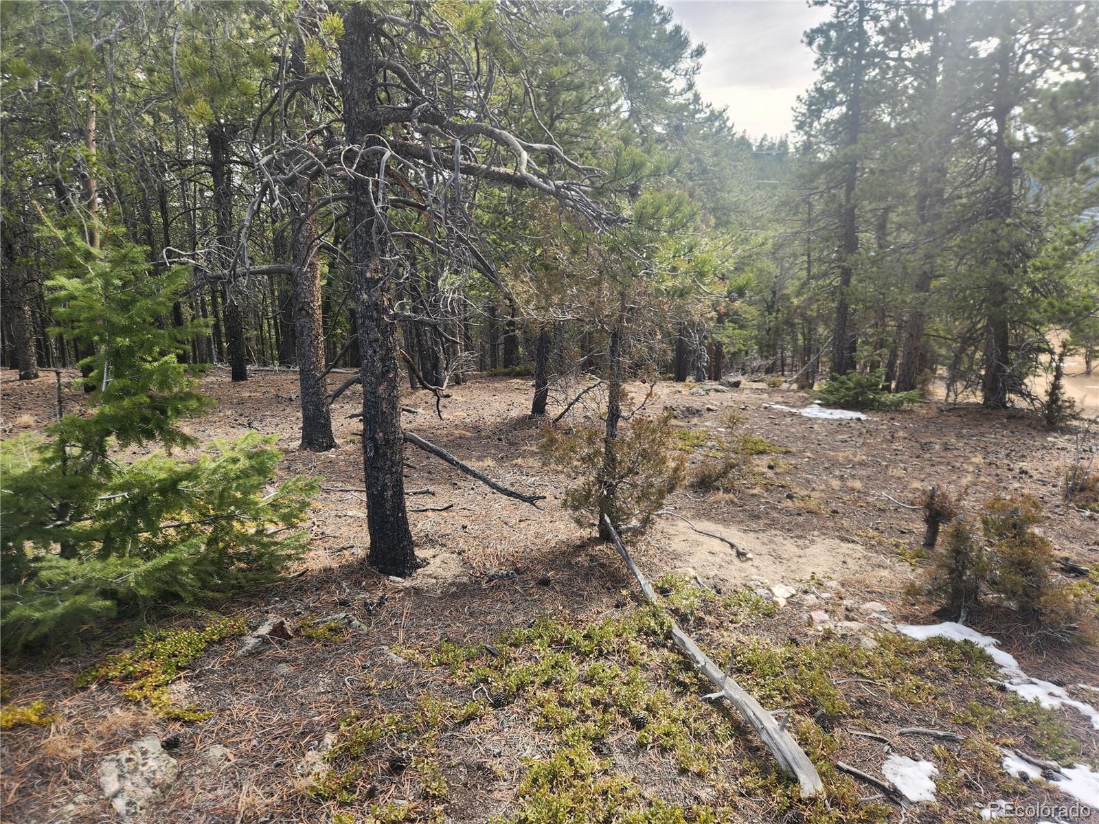 Vacant Land On Fools Gold Road Idaho Springs CO 80452