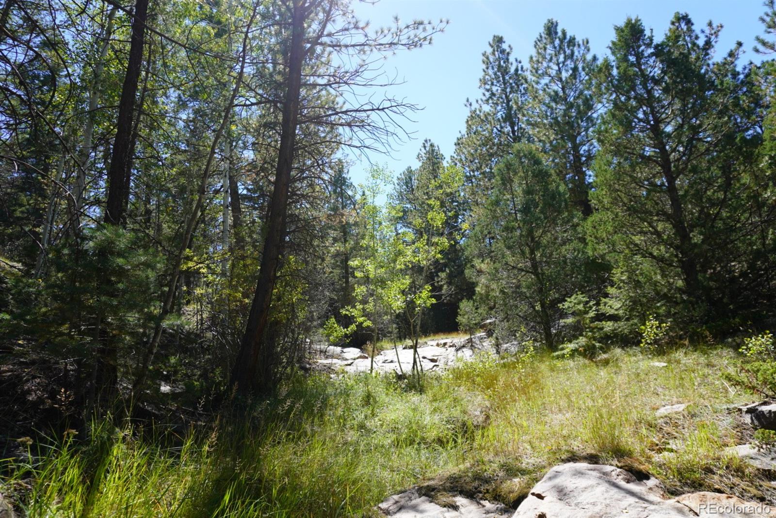 2871 Marcey Road Westcliffe CO 81252