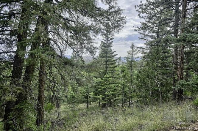 2871 Marcey Road Westcliffe CO 81252