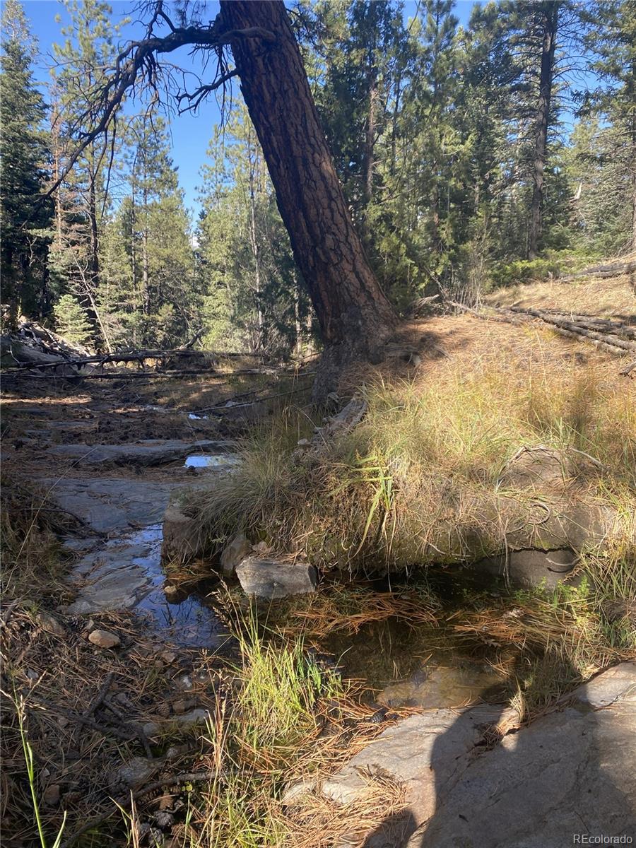 2871 Marcey Road Westcliffe CO 81252