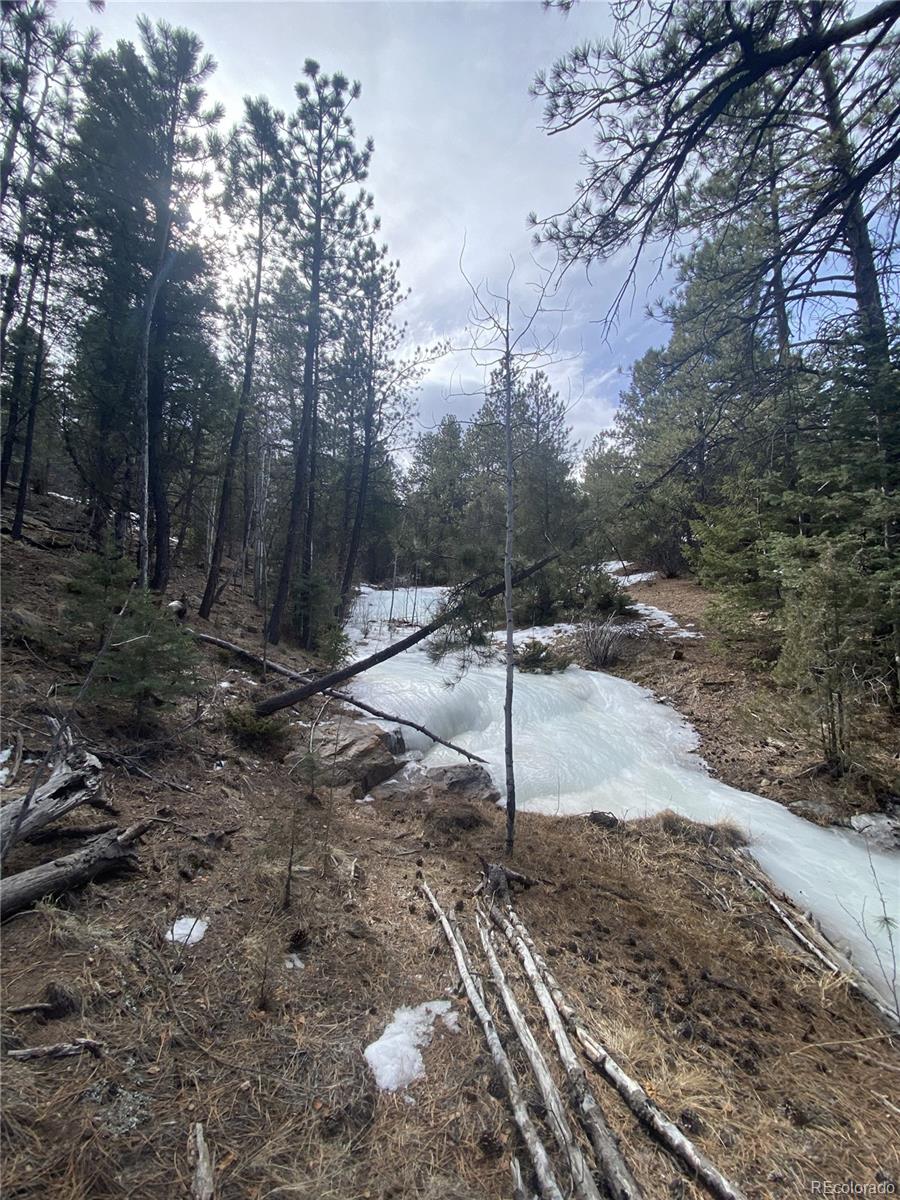 2871 Marcey Road Westcliffe CO 81252