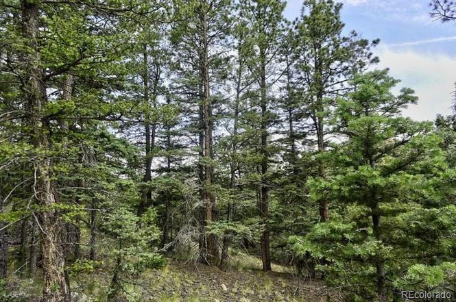 2871 Marcey Road Westcliffe CO 81252