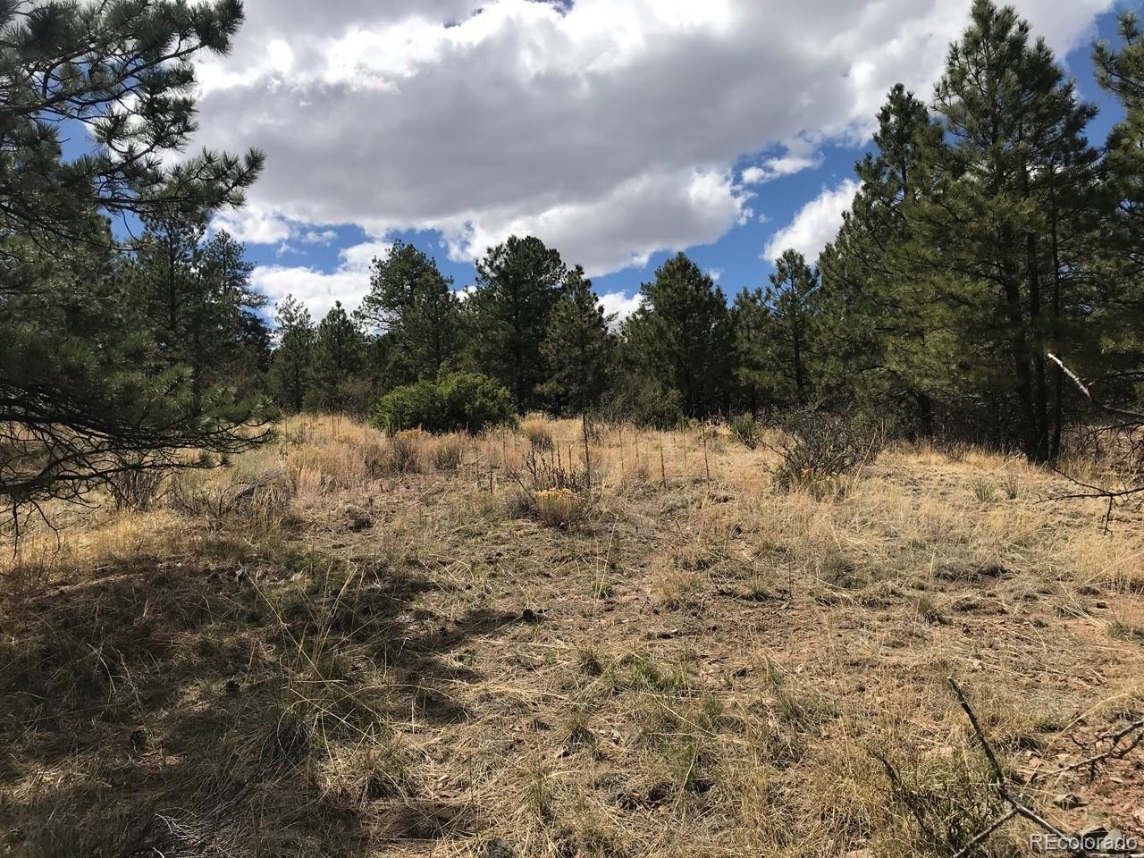 2871 Marcey Road Westcliffe CO 81252