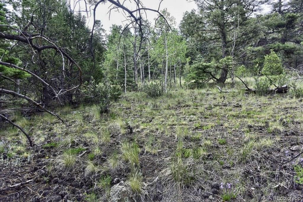 2871 Marcey Road Westcliffe CO 81252
