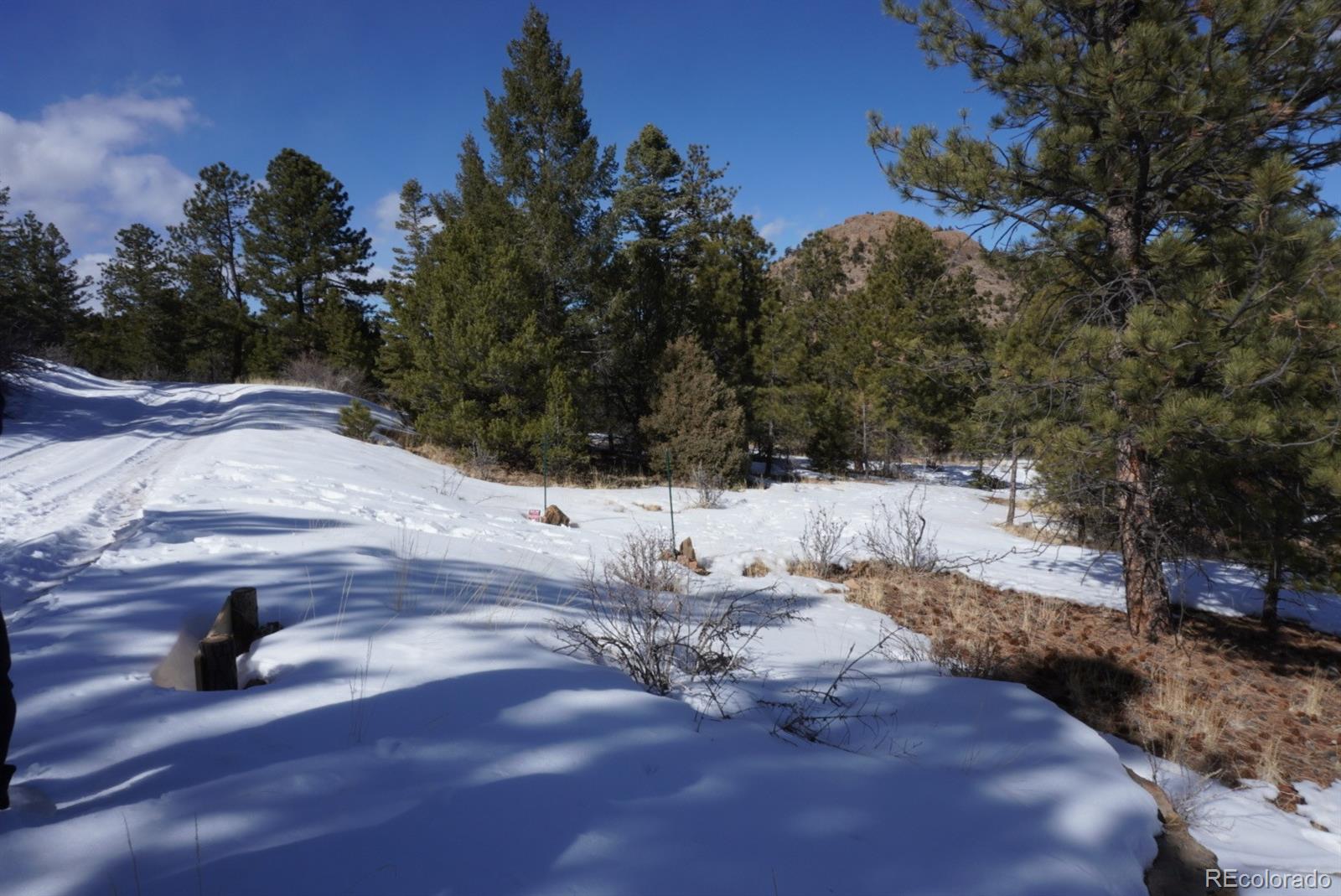 2871 Marcey Road Westcliffe CO 81252