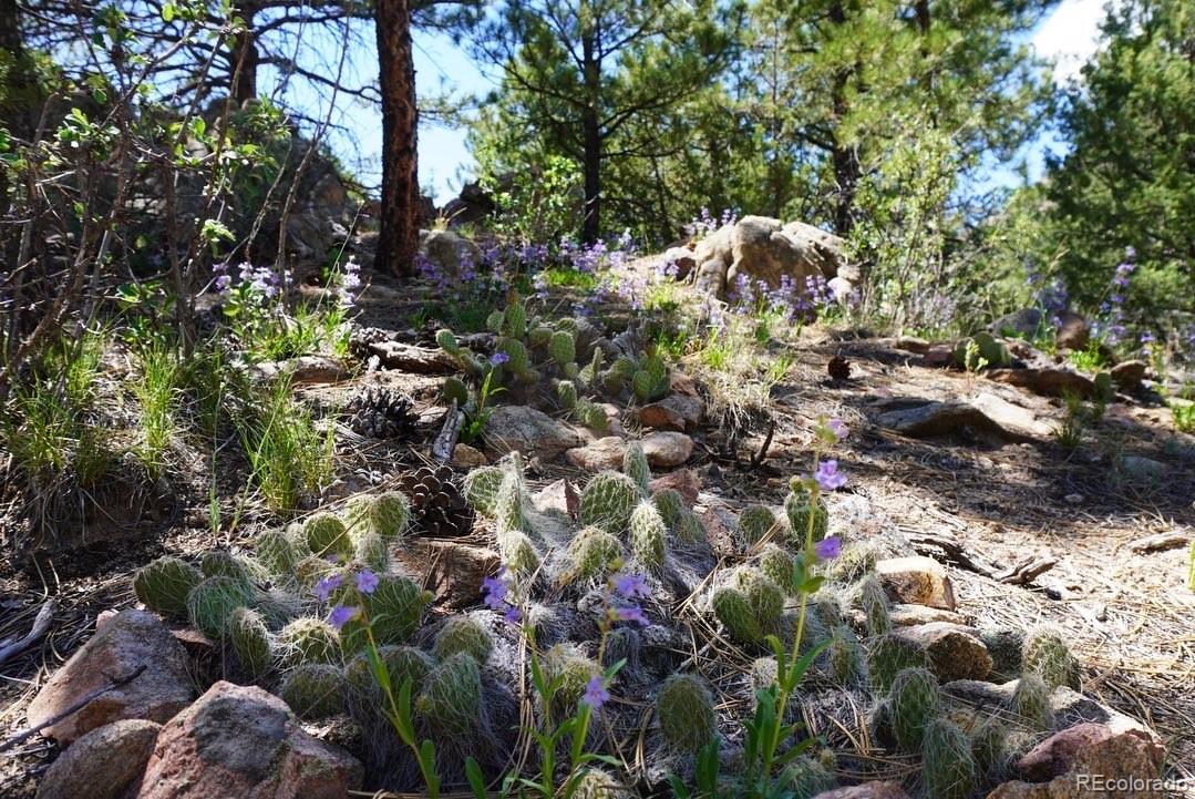 2871 Marcey Road Westcliffe CO 81252