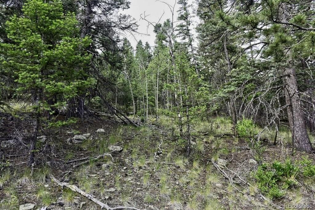 2871 Marcey Road Westcliffe CO 81252
