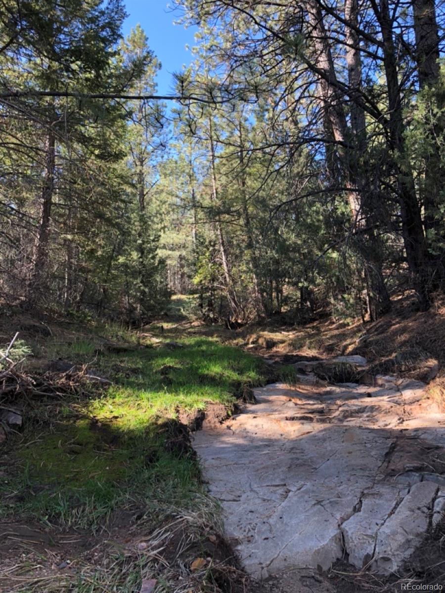 2871 Marcey Road Westcliffe CO 81252