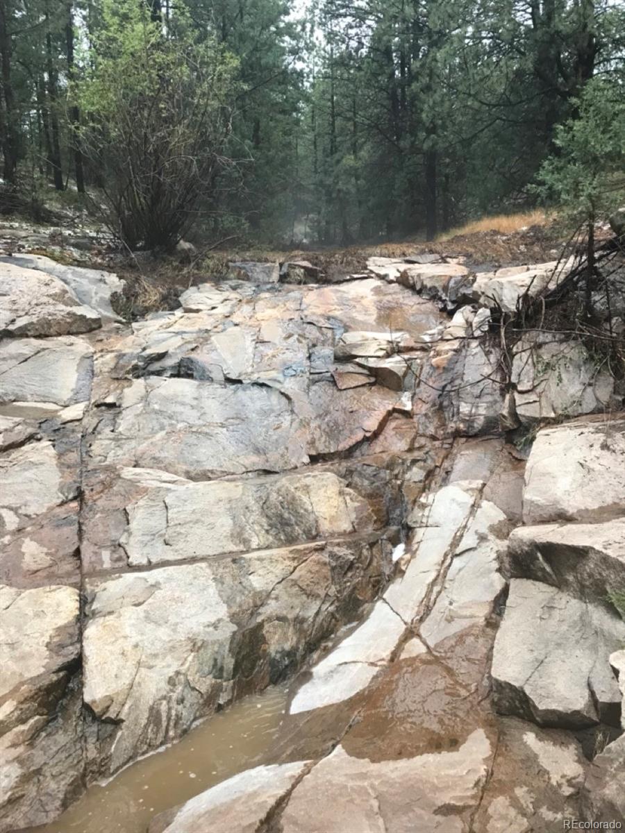 2871 Marcey Road Westcliffe CO 81252