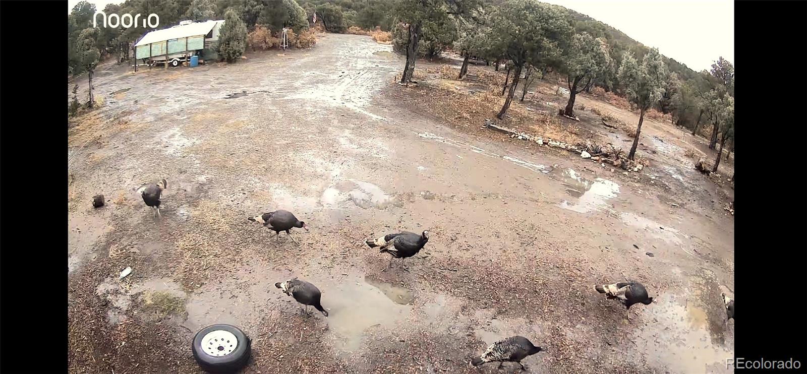 14585 Indian Spring Drive Trinidad CO 81082