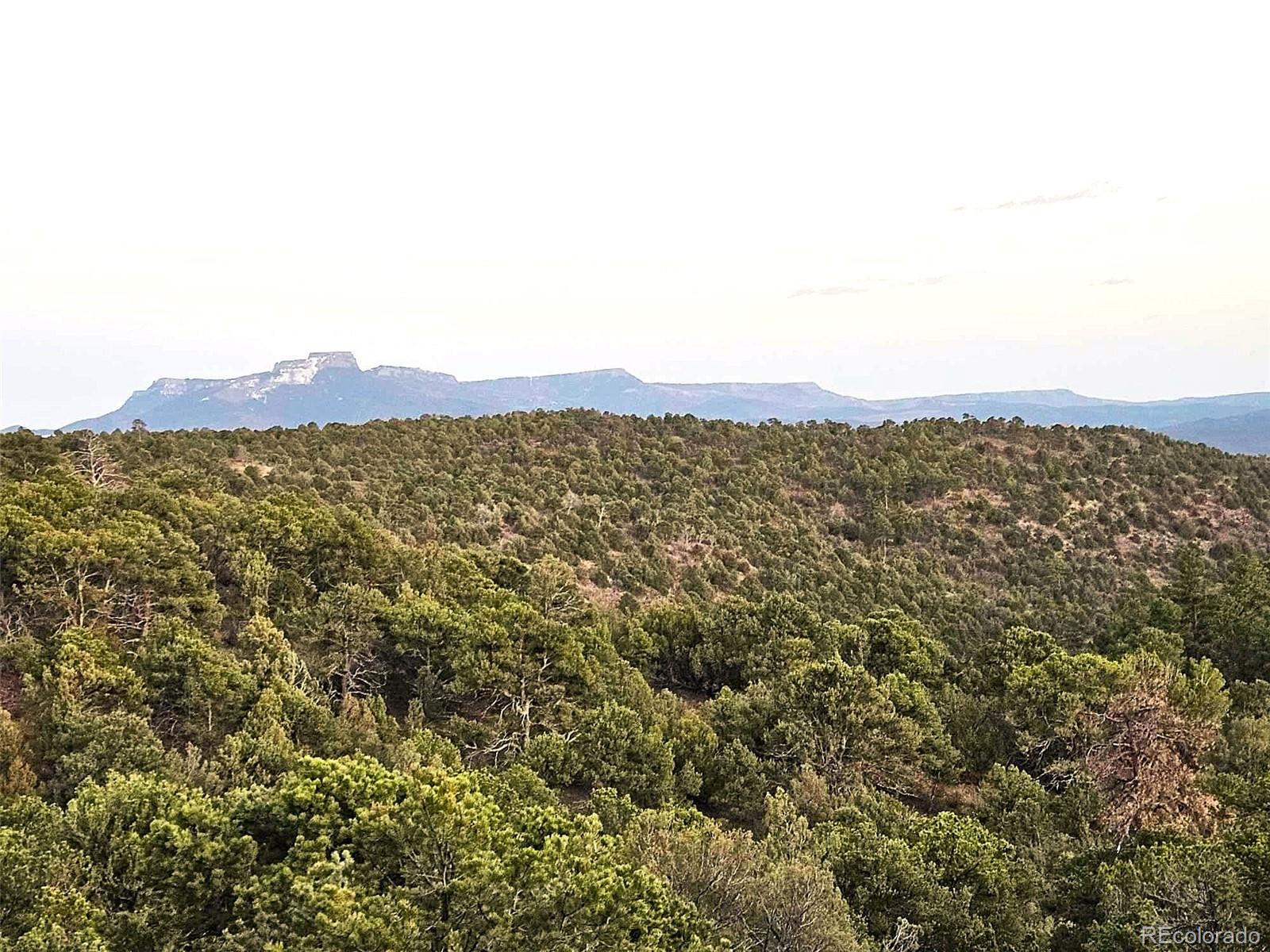 14585 Indian Spring Drive Trinidad CO 81082