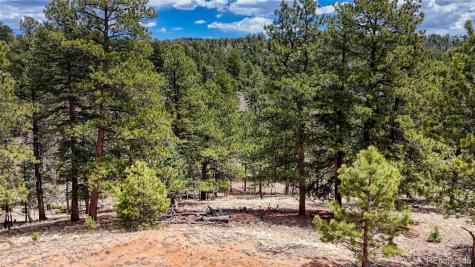 16 View Circle Florissant CO 80816