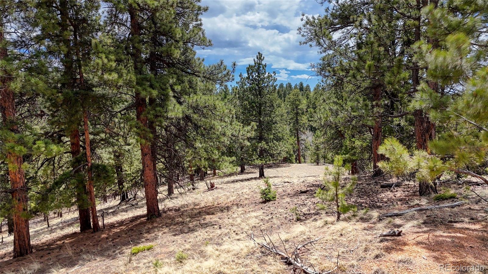 16 View Circle Florissant CO 80816