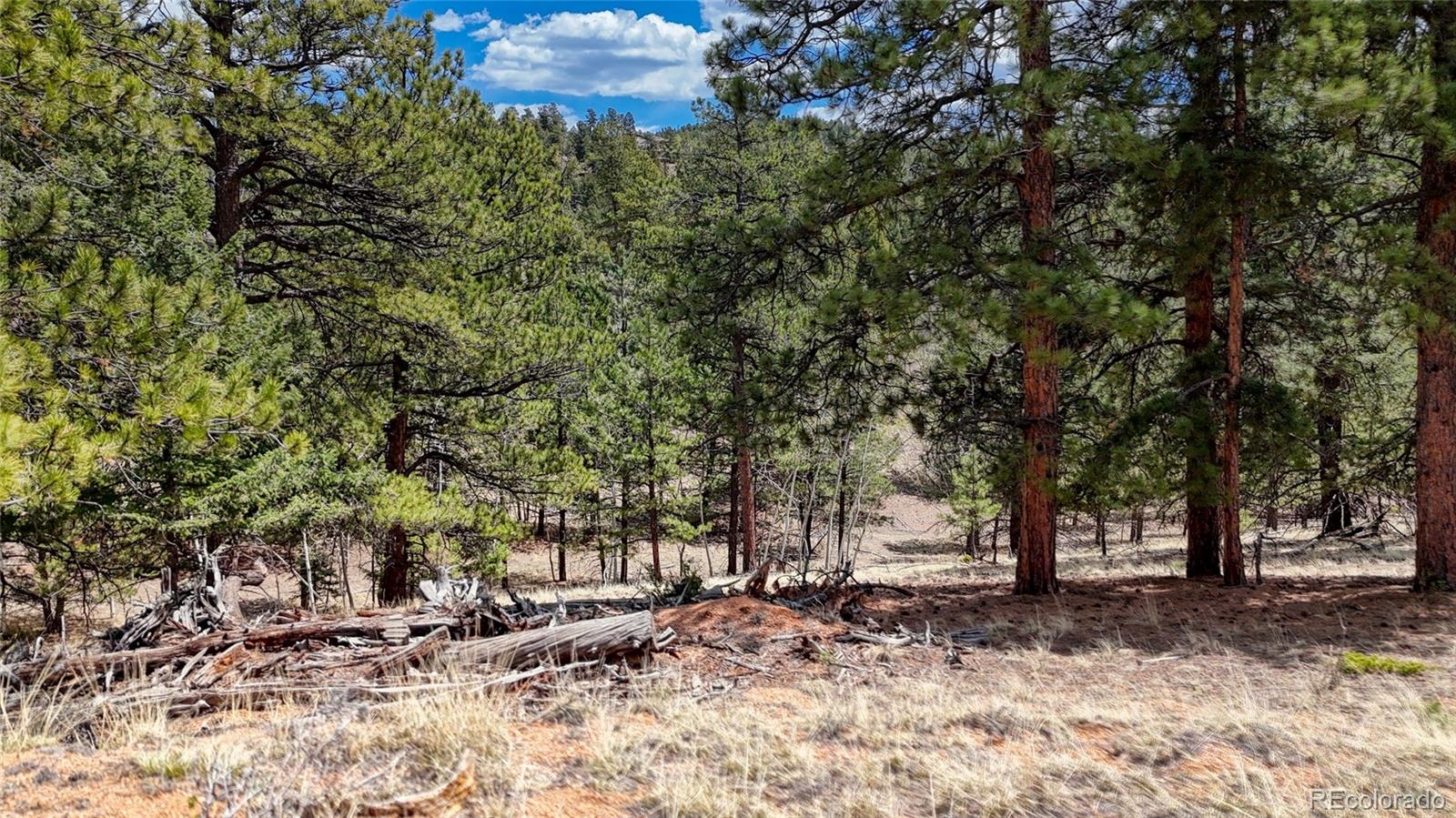 16 View Circle Florissant CO 80816