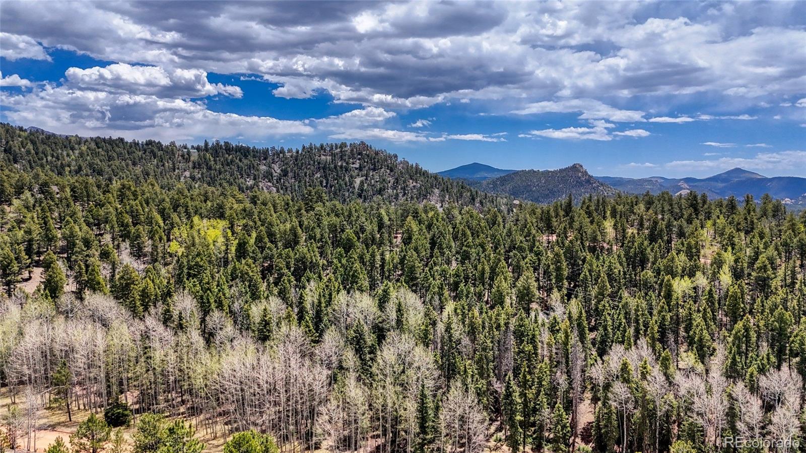 16 View Circle Florissant CO 80816