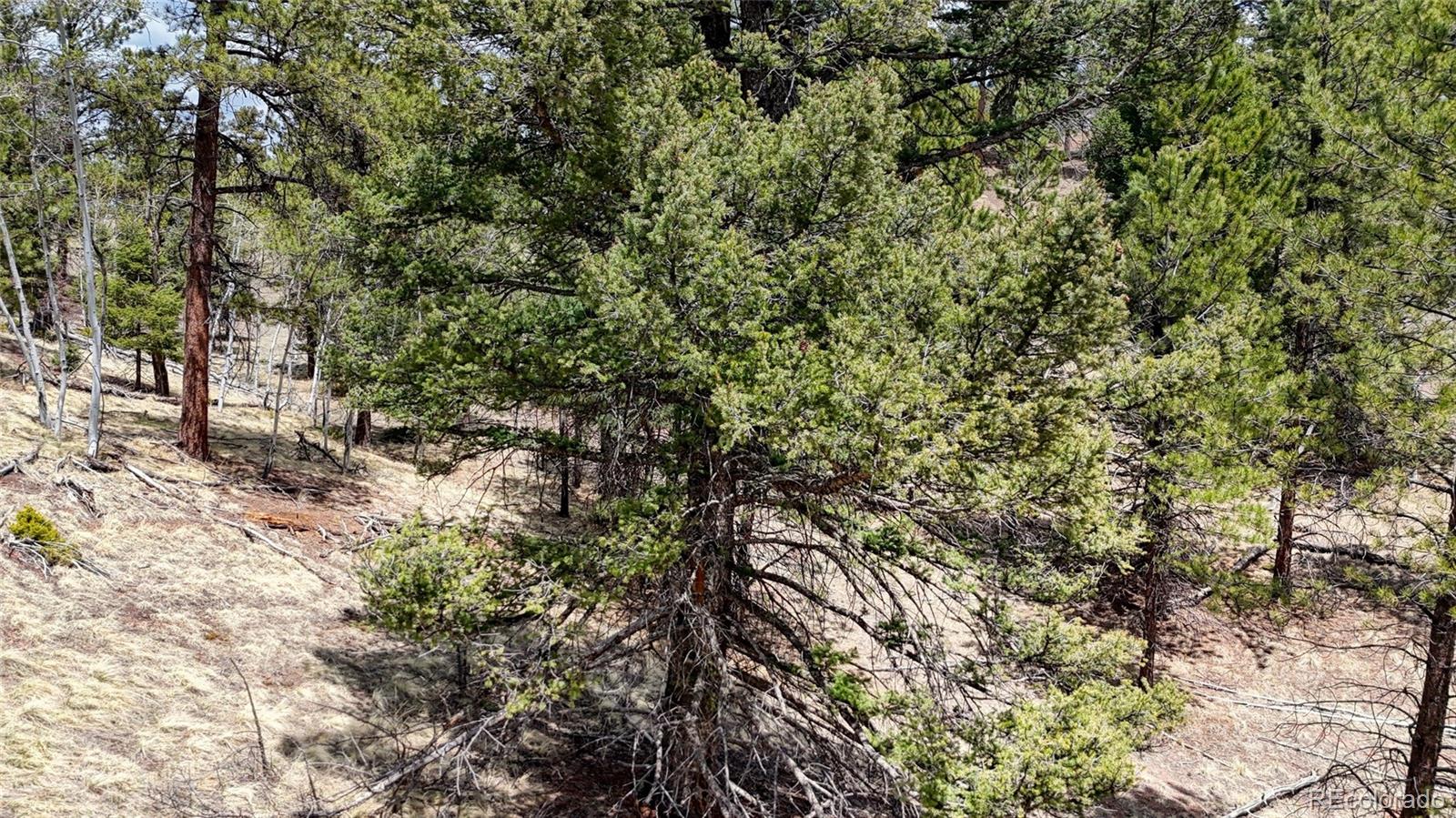 16 View Circle Florissant CO 80816