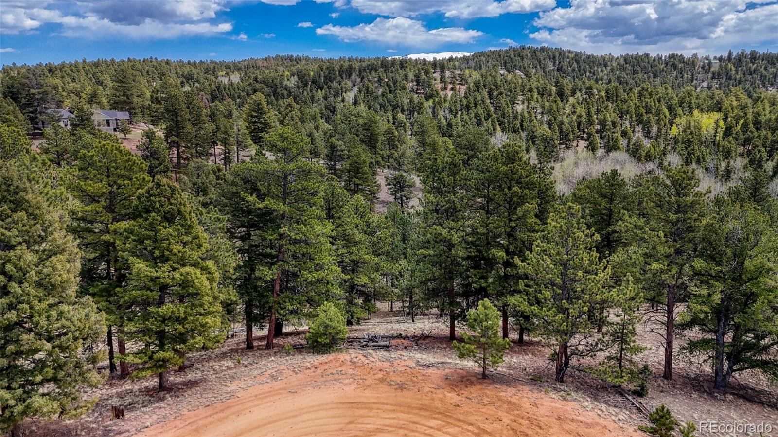 16 View Circle Florissant CO 80816