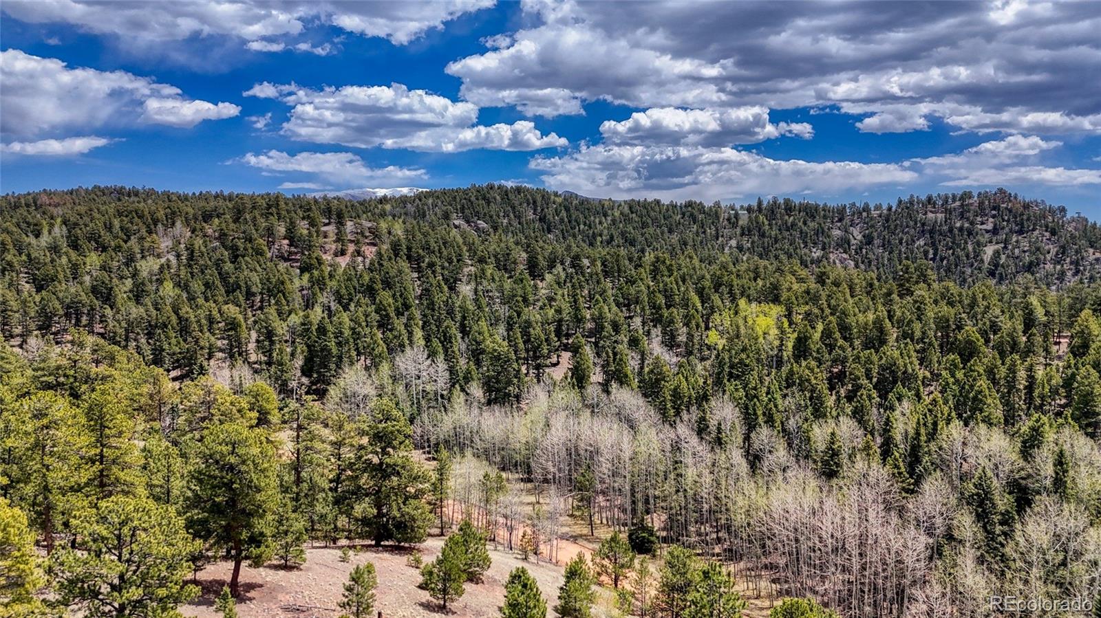 16 View Circle Florissant CO 80816