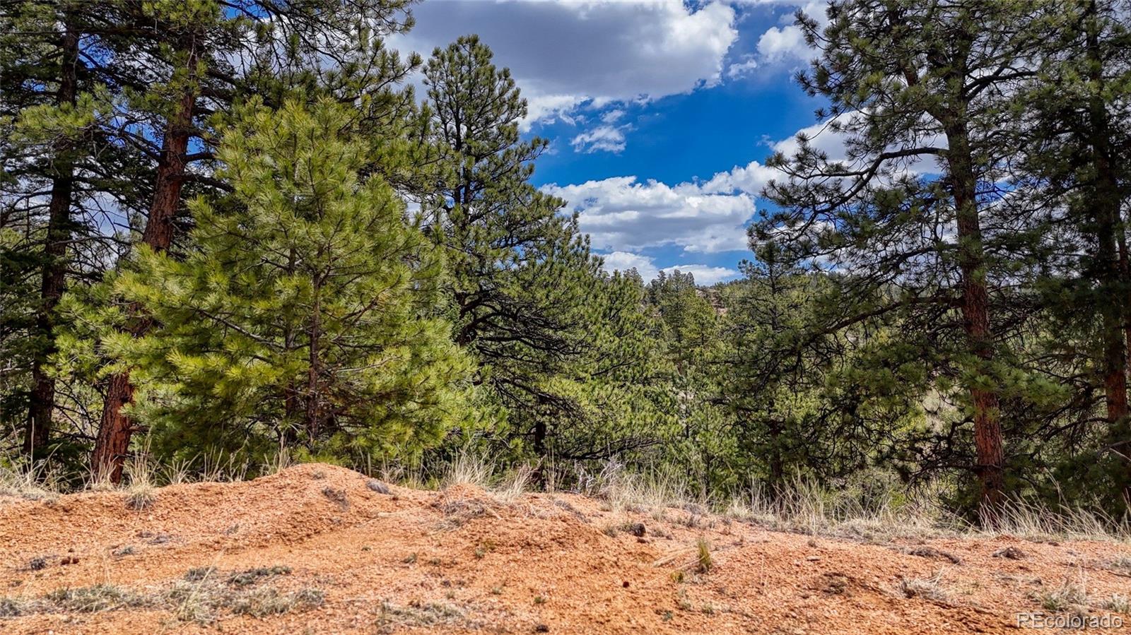 16 View Circle Florissant CO 80816