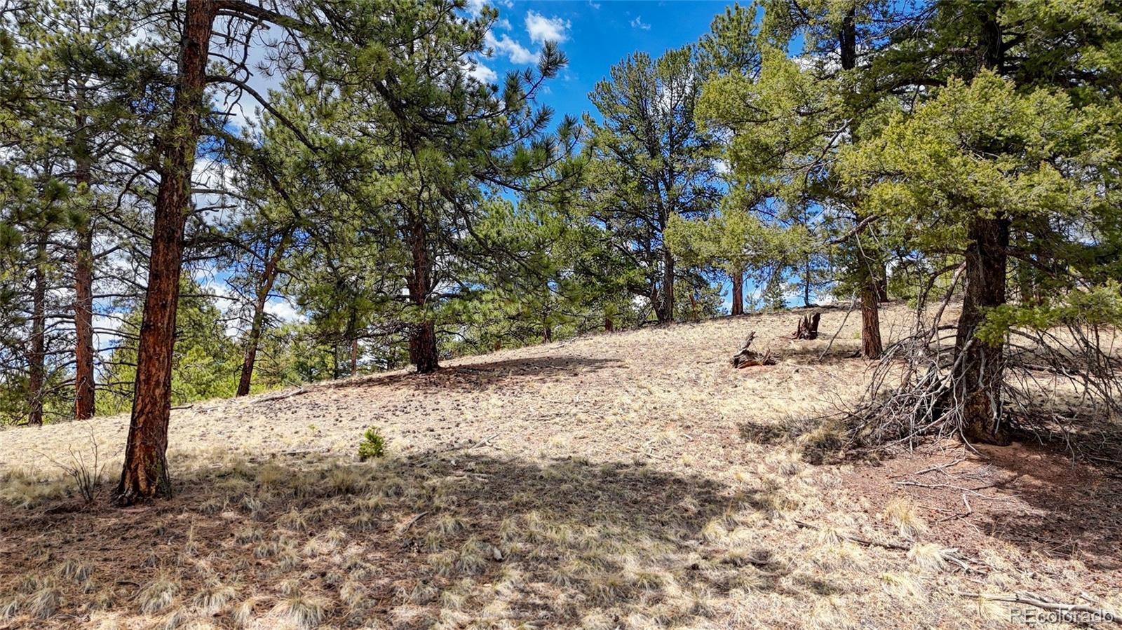 16 View Circle Florissant CO 80816