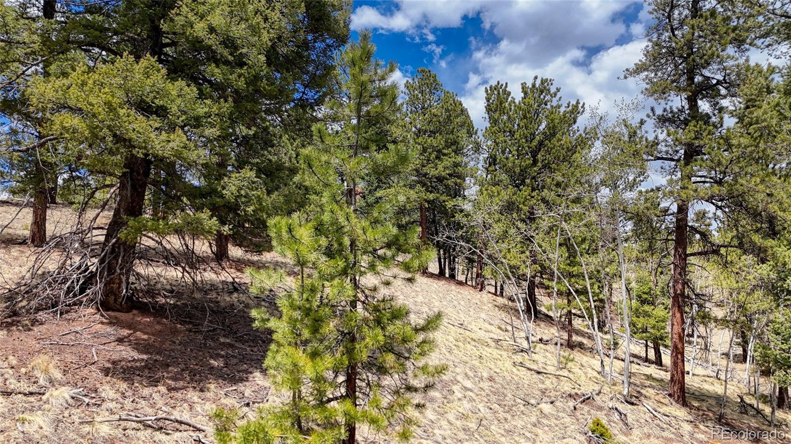 16 View Circle Florissant CO 80816