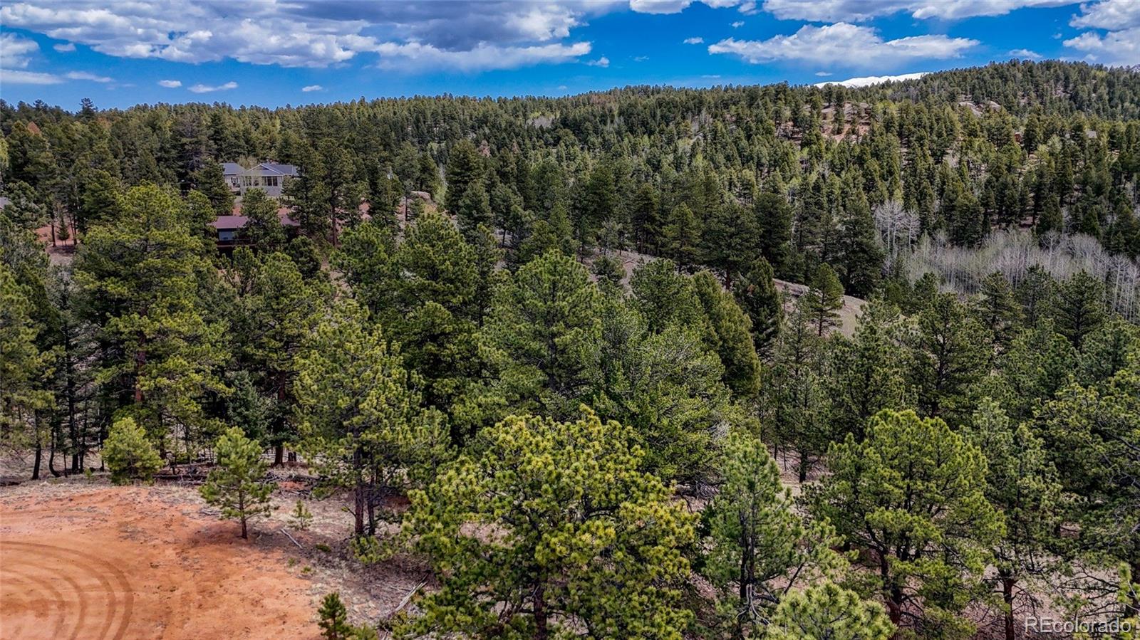 16 View Circle Florissant CO 80816